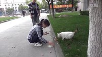后青春期的詩