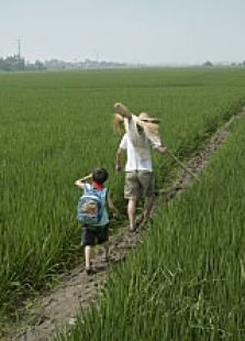 再見，稻草人