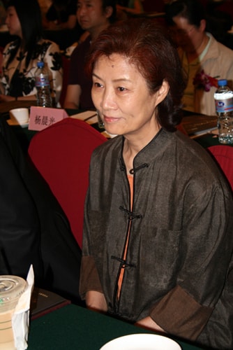 2008年《人間正道是滄桑》劇照
