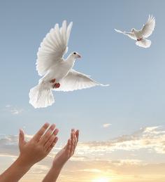 http://www.omega3-ala.com/pics/default/download/238deaef78d36fd549899d553b8a00d9.jpg
