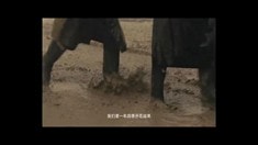 預告片2