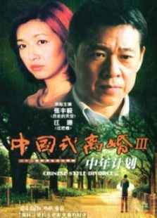 中年計(jì)劃
