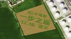 機(jī)場麥田廣告