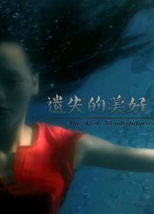 遺失的美好（2016）