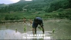 預告片
