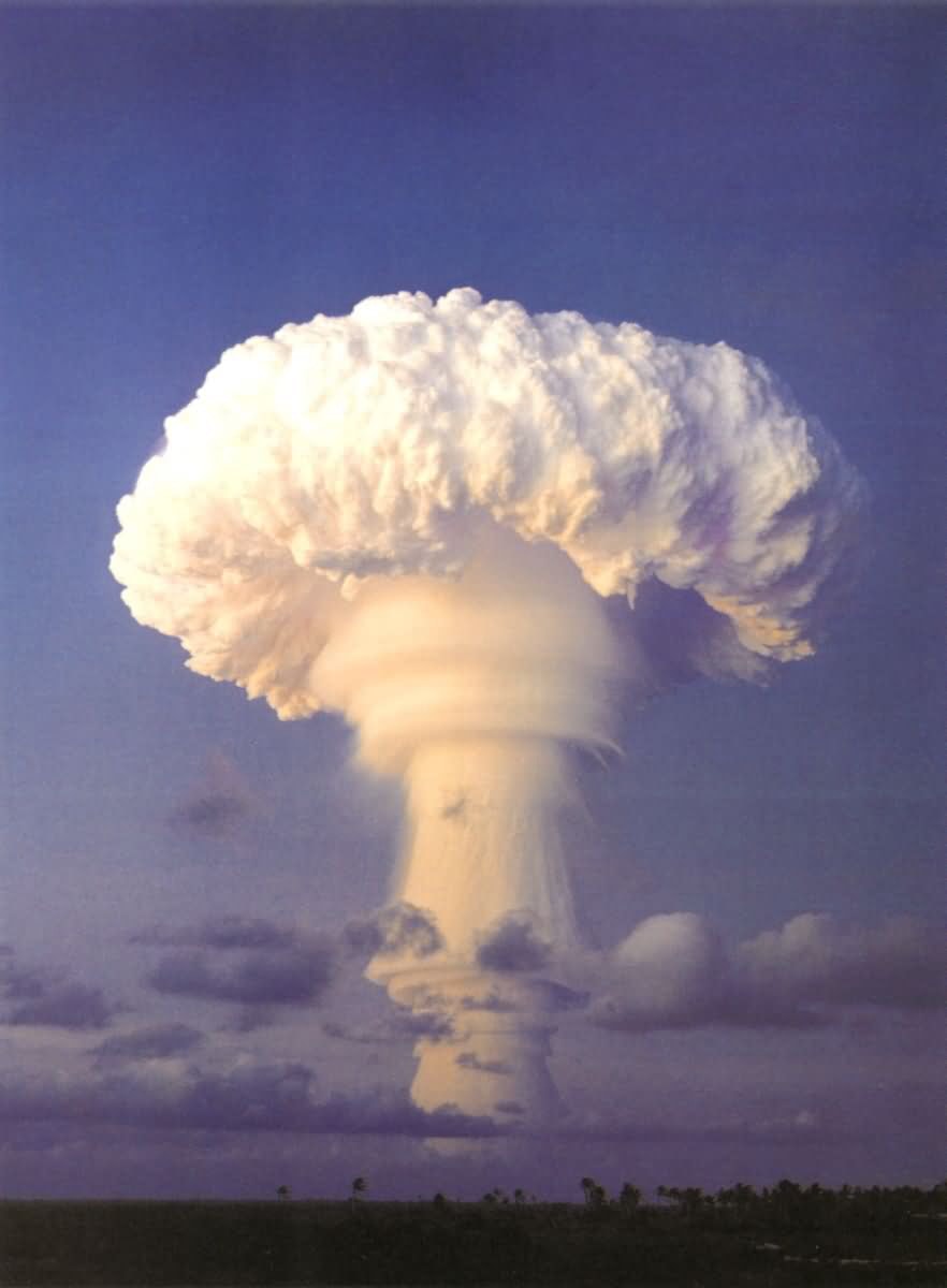 http://www.omega3-ala.com/pics/default/download/24babb800961c9e76c4fb97bdcd700f8.jpg
