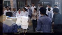橄欖樹