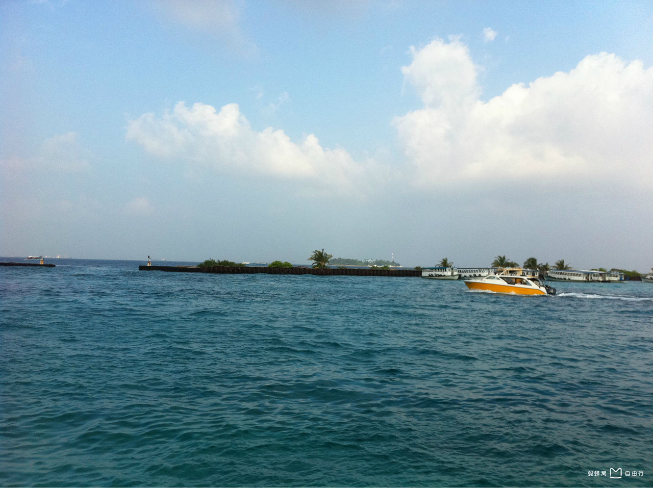 http://www.omega3-ala.com/pics/default/download/25c15050a8d0d60e05112e34d87bda57.jpg