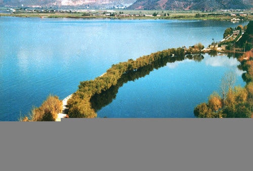 http://www.omega3-ala.com/pics/default/download/25fd6359ad8eae8d2cddeaa127985948.jpg
