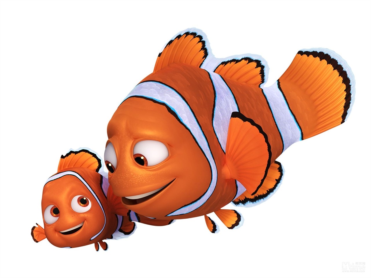 http://www.omega3-ala.com/pics/default/download/262ac07ea1a3a20130fe460a84f4a19f.jpg