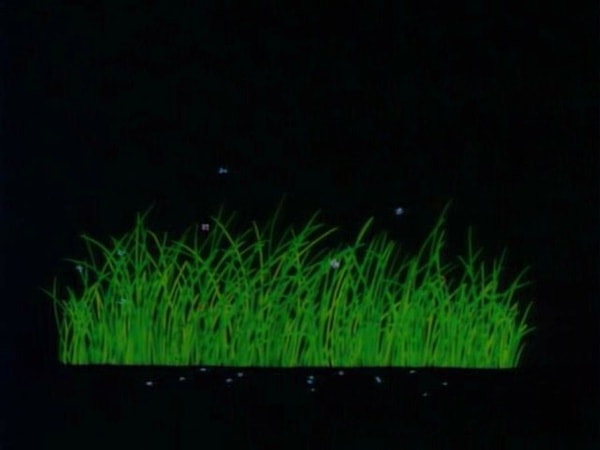 http://www.omega3-ala.com/pics/default/download/2654f1f7f6804ec87f0d20e569d51a1c.jpg