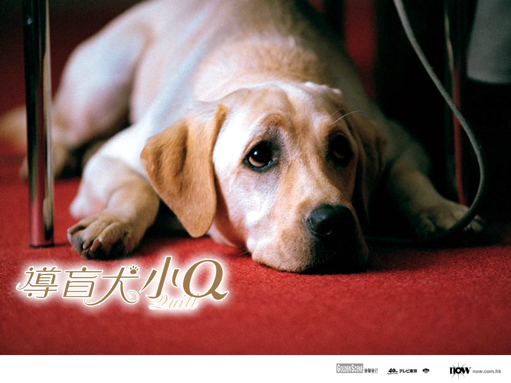 http://www.omega3-ala.com/pics/default/download/26c9fe1bde75b51c71a528329de24f08.jpg
