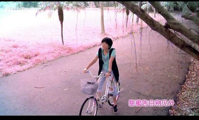 http://www.omega3-ala.com/pics/default/download/289bbbb5e16e52d87c5881e4aeaf1441.jpg
