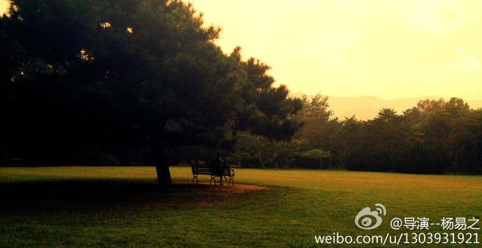 http://www.omega3-ala.com/pics/default/download/28e1ea4888d7fecd1330704d31878c0a.jpg