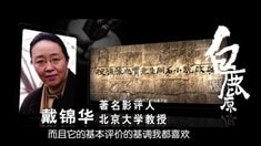 名人推薦視頻