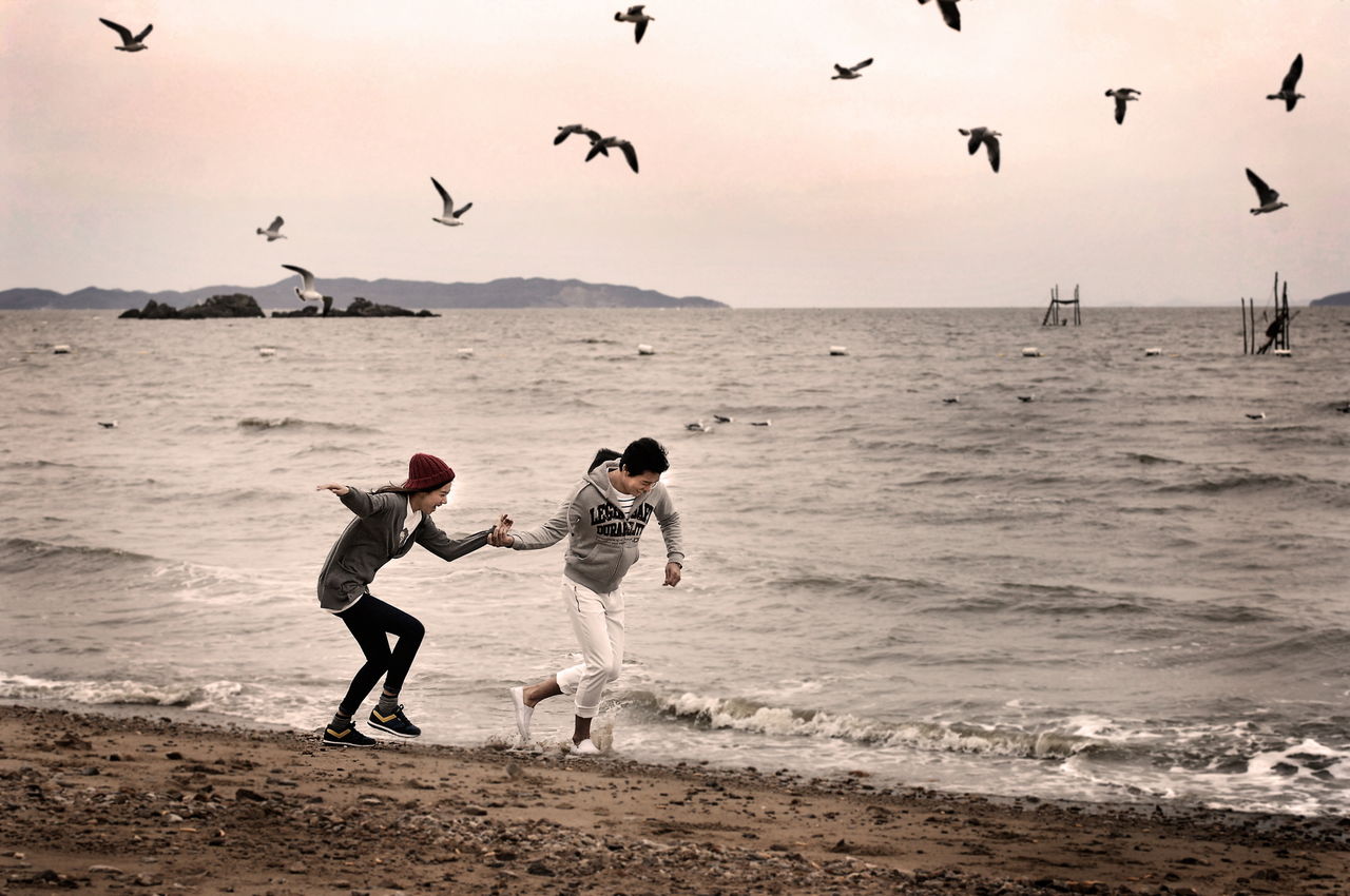 http://www.omega3-ala.com/pics/default/download/2bd36548a8eac6b26900279c30681569.jpg