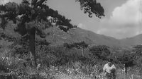 錦上添花 滿擰
