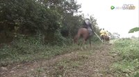 神探包青天預告片41
