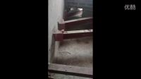 MOV_0798