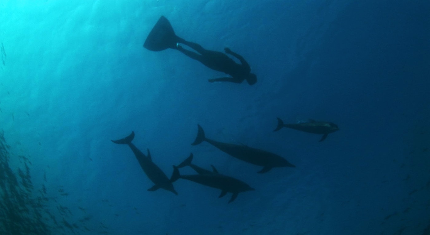 http://www.omega3-ala.com/pics/default/download/2d87d1e5f461db212dc2716dcf9569d9.jpg