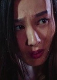 情話西游之愛有天意