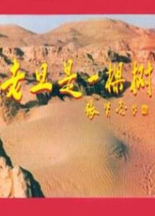 老旦是一棵樹