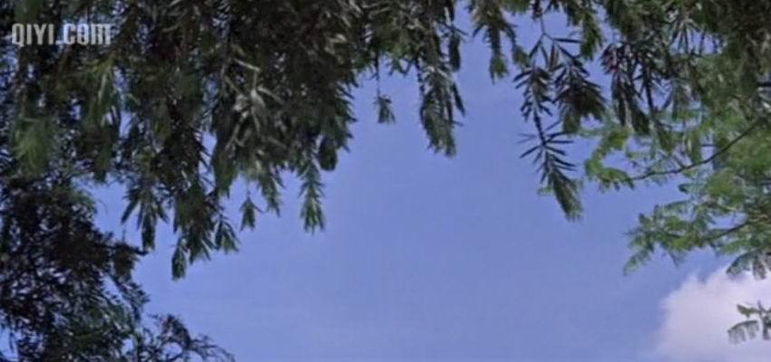 http://www.omega3-ala.com/pics/default/download/2df9173ffd57426e271bdfd5e5b94ff4.jpg