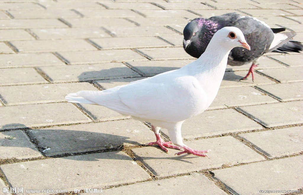 http://www.omega3-ala.com/pics/default/download/2f71160b557cb3ebe57516495b8b533d.jpg