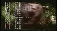 情恨紅塵中(俠影仙蹤片尾曲)