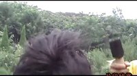 百姓賀歲獻(xiàn)禮《我要拍電影》片段欣賞