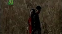 陳玉建-為什么傷害我