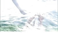 【愛似百匯】預(yù)告：希望海洋篇