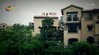 安東陽《情為何物》如果相愛最終卻要相負，我又怎么不會銘心刻骨