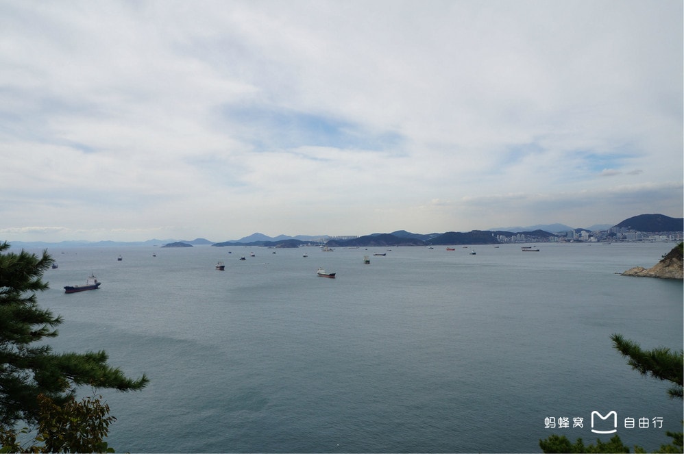 http://www.omega3-ala.com/pics/default/download/3365845dc44b77b9b0c720d18583e53d.jpg