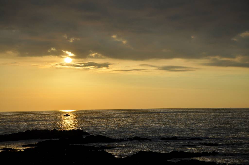 http://www.omega3-ala.com/pics/default/download/33c505f941784f0cfb85f9427afe5e72.jpg