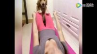 女人和狗 秒殺所有單身狗！.mp4