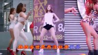 秋去秋來 葉倩文 ( 粵 ) DJ舞曲