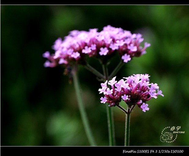 http://www.omega3-ala.com/pics/default/download/35b6b71b59ee3a7d8fc5a5e7641042c5.jpg