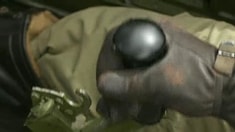 終極版預告片
