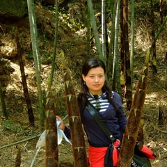 馬媛媛
