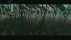 劇場版預(yù)告片1