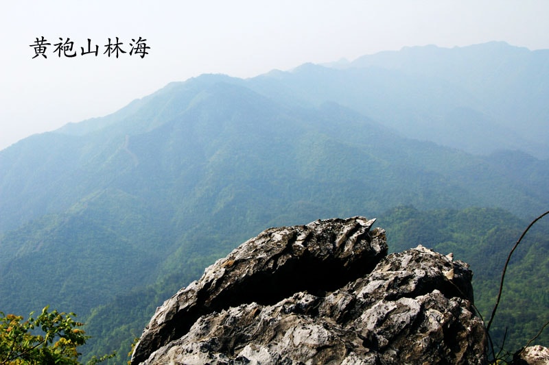 http://www.omega3-ala.com/pics/default/download/37f790e0f3e941e8b9b4c300989aa5ab.jpg