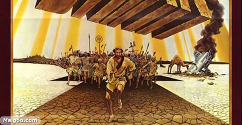 http://www.omega3-ala.com/pics/default/download/38658dad3d80abb810297b849cf803cf.jpg