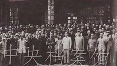 病毒視頻