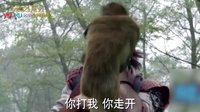 《姐不能忍》：《仙劍云之凡》引發密集恐懼癥 韓東君鄭元暢被特效暗算