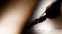 The.Spiderwick.Chronicles.(奇幻精靈事件簿).trl_h720p