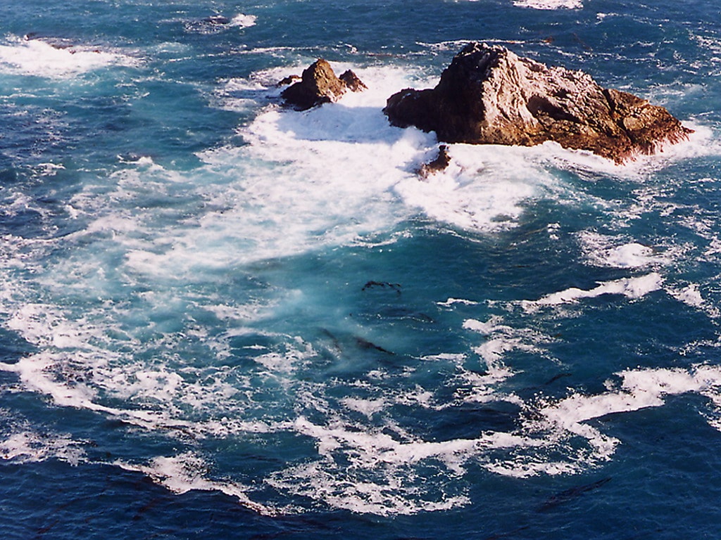 http://www.omega3-ala.com/pics/default/download/39e2d8708fdf7829398b579cb04aa86c.jpg