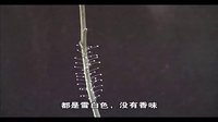 這是“優(yōu)曇婆羅花”？