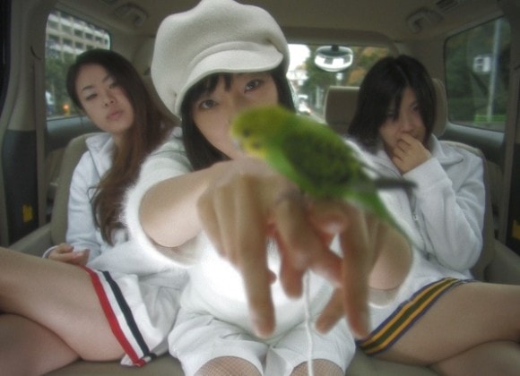 http://www.omega3-ala.com/pics/default/download/3a29e28b8ad12eb8e5d19ec70a9f6d39.jpg