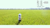 求婚大作戰